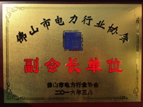 電建集團(tuán)榮獲佛山市電力行業(yè)協(xié)會(huì)“副會(huì)長單位”